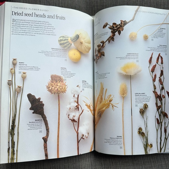 The Indoor Garden Book by John Brookes - Picture 7 of 7